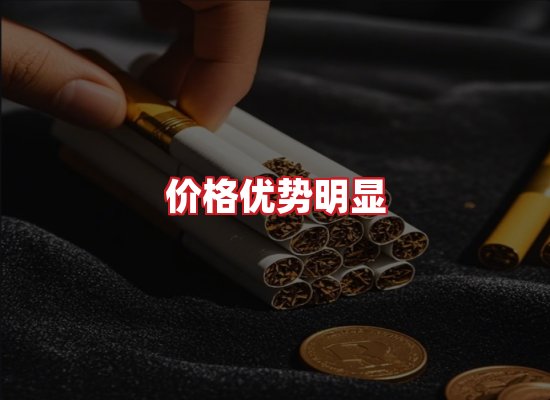 专业团队